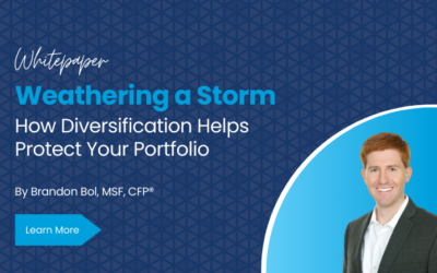 Weathering a Storm – How Diversification Helps Protect Your Portfolio