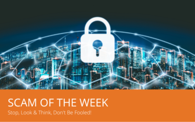 Cybersecurity Scam of the Week – Real Products, Fake Payments