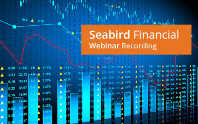 Webinar Reflections: Seabird Financial